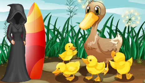 &p=duckblaster